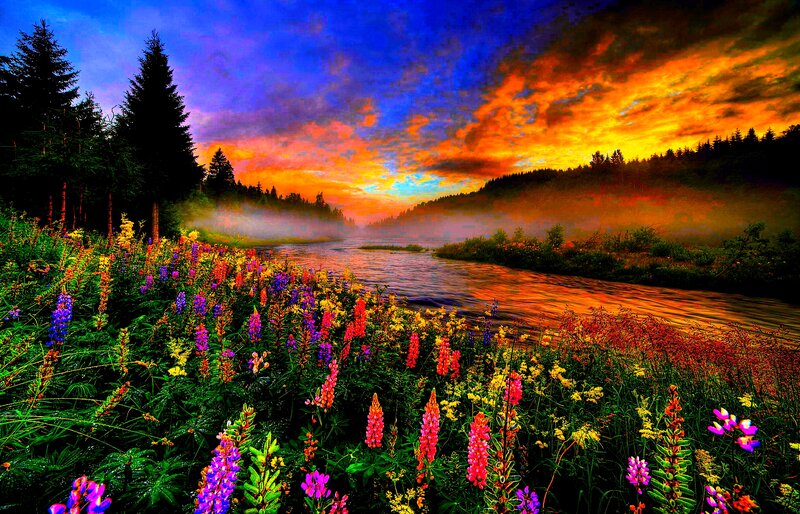 Wildflowers by River — Blue