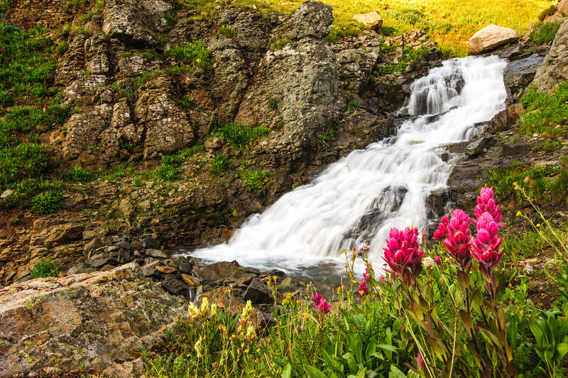 Wildflowers by Waterfall