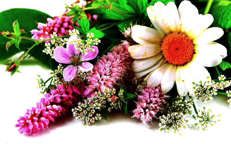Wildflowers in a Bouquet
