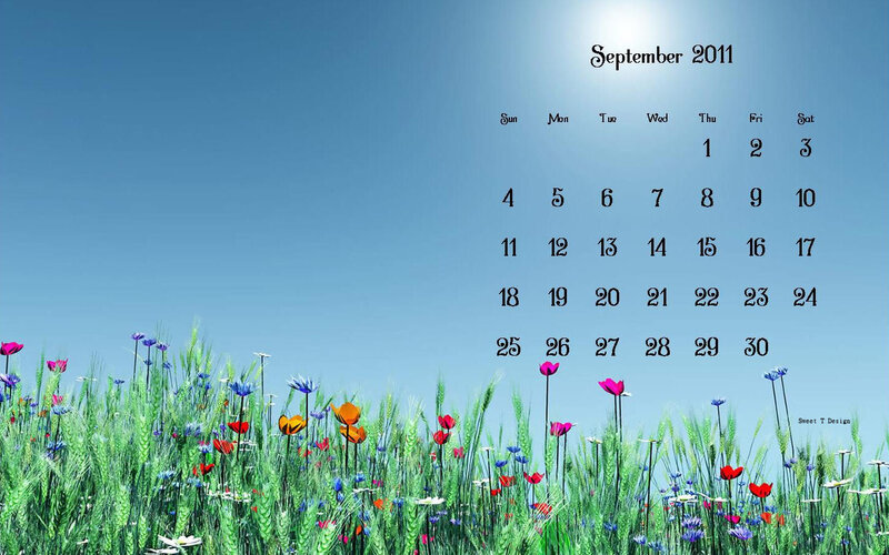 Wildflowers in a Field — Blue