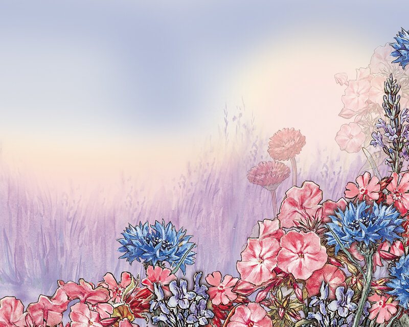 Wildflowers in a Field — Pink
