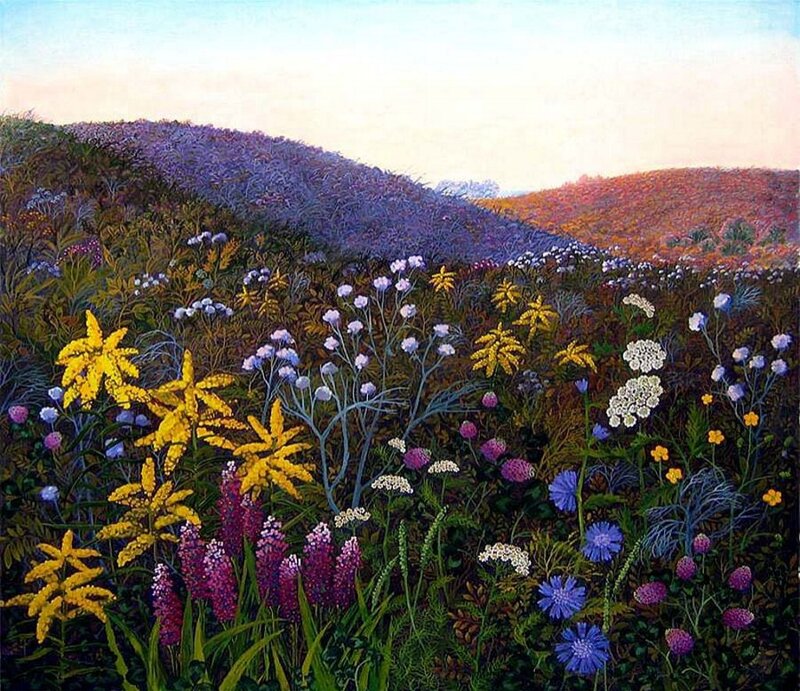 Wildflowers in a Field — Purple, Serene, Sunset