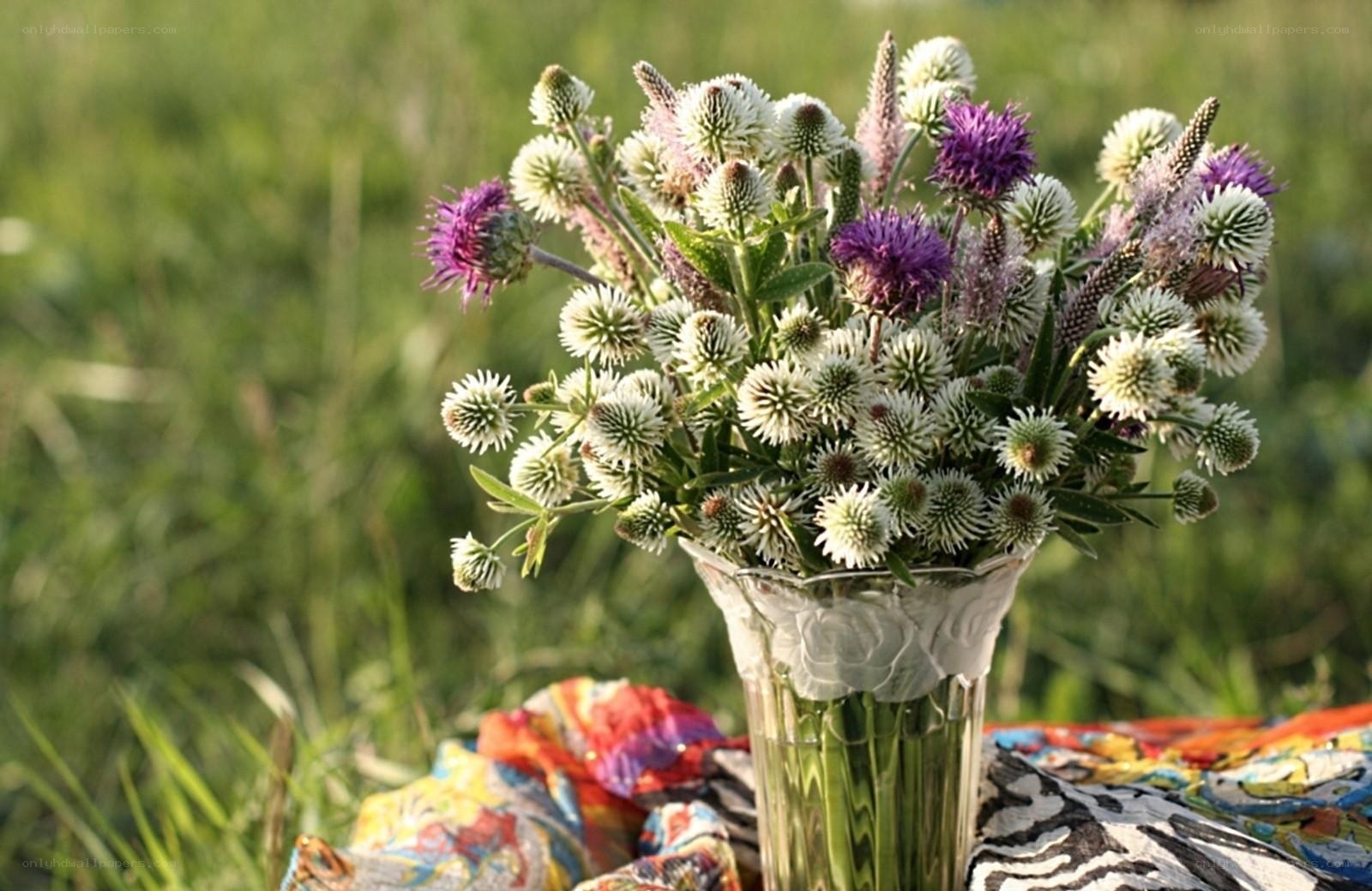 Wildflowers in a glass vase