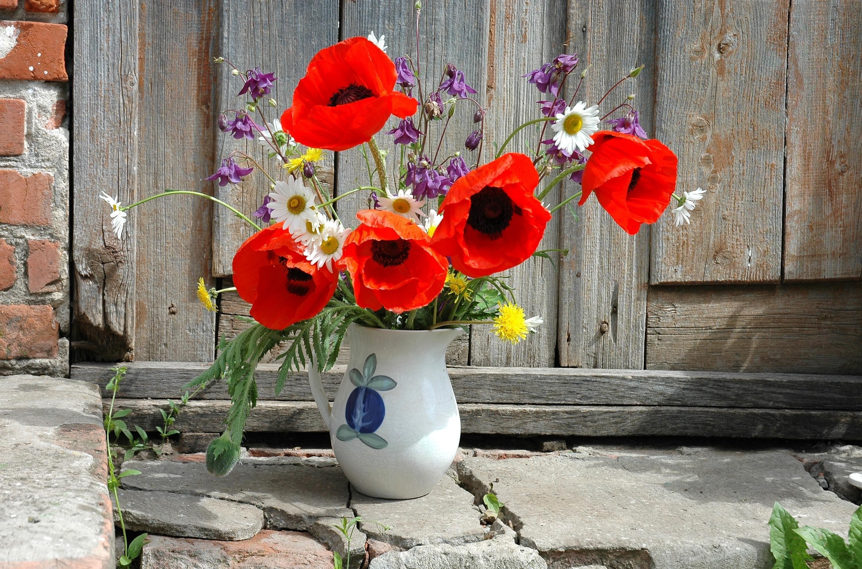 Wildflowers in a jug