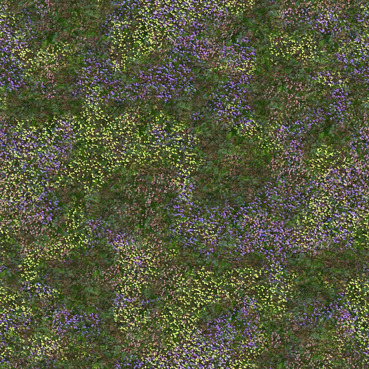 wildflowers in a meadow