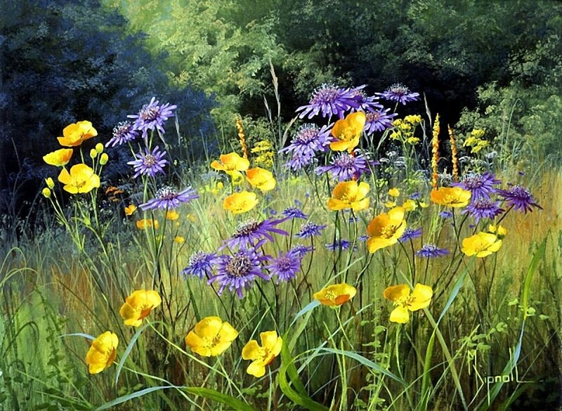 Wildflowers in a Meadow — Yellow, Serene, Afternoon