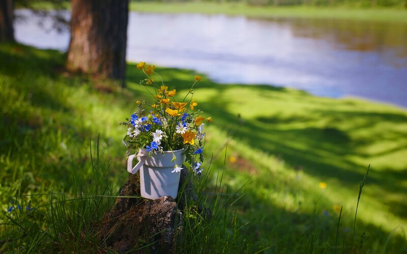 Wildflowers in a Mug — Green