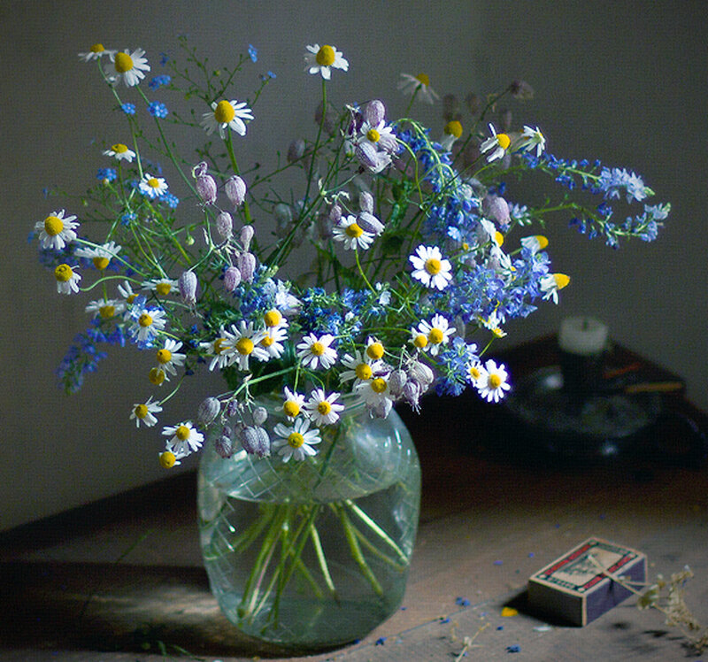 Wildflowers in a Vase — White, Calm