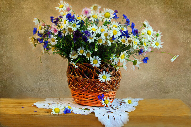 Wildflowers in Basket — White, Calm