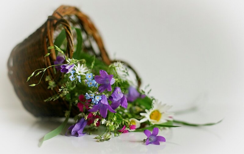 Wildflowers in Basket — White