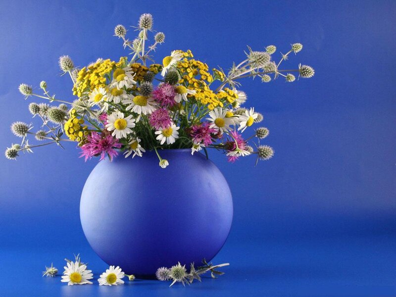 Wildflowers in Blue Vase