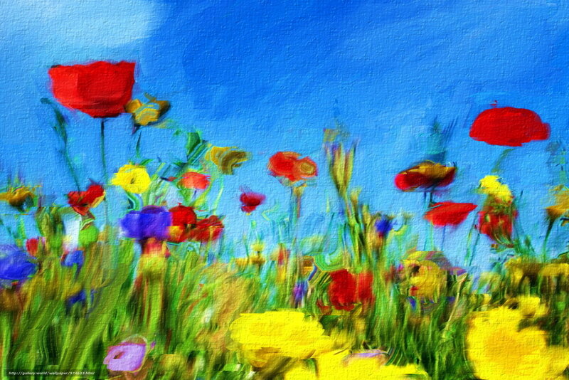 Wildflowers in Field — Blue, Vibrant