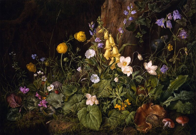 Wildflowers in Forest — Green, Dramatic