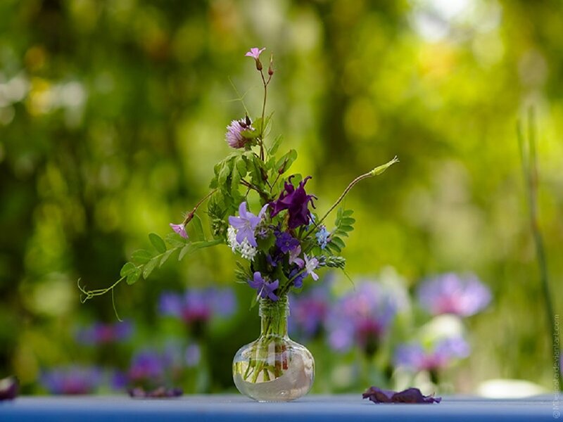 Wildflowers in Glass Vase