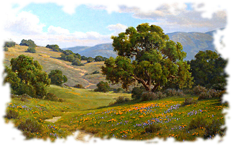 Wildflowers in Meadow — Green, Serene, Afternoon