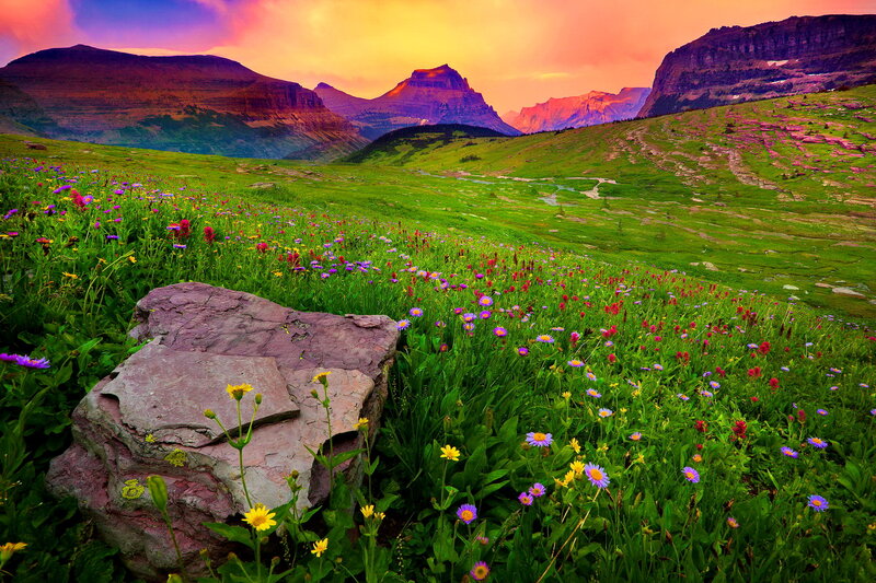 Wildflowers in Mountain Valley — Green, Dramatic, Sunset
