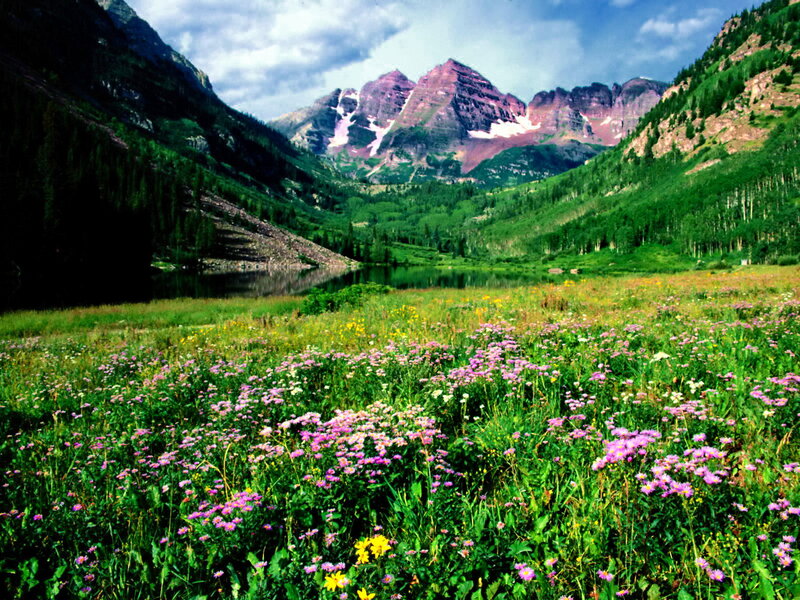 Wildflowers in Mountain Valley — Green, Serene, Summer, Photograph, Mountains, Lake, Forest