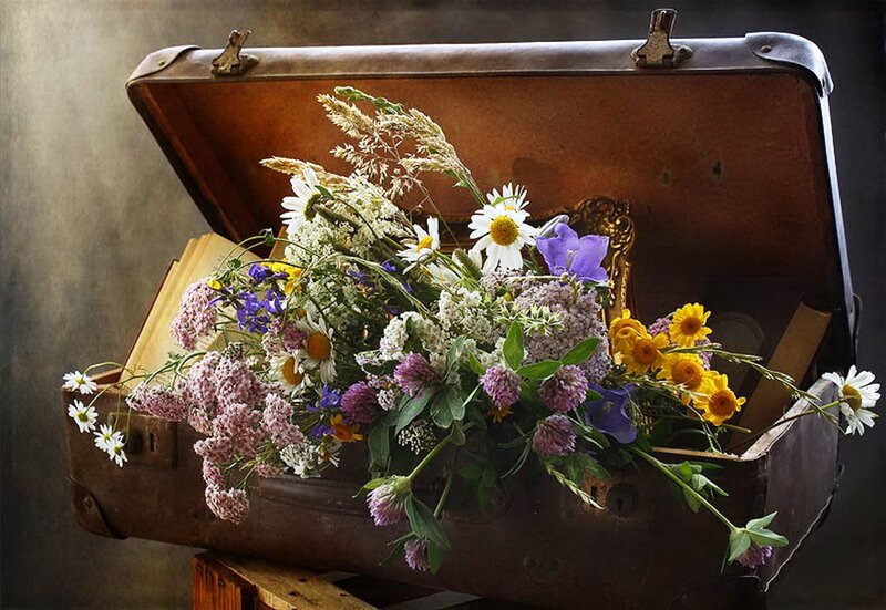 Wildflowers in Suitcase