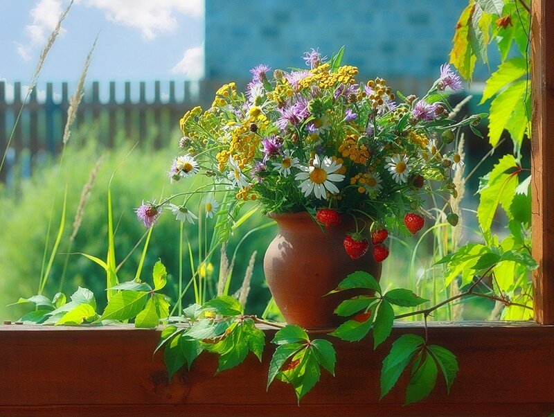 Wildflowers in Terracotta Pot