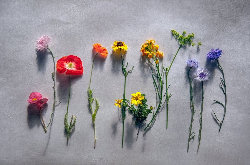 Wildflowers on Gray Surface
