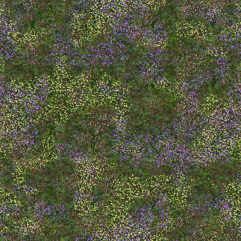 Wildflowers on Ground