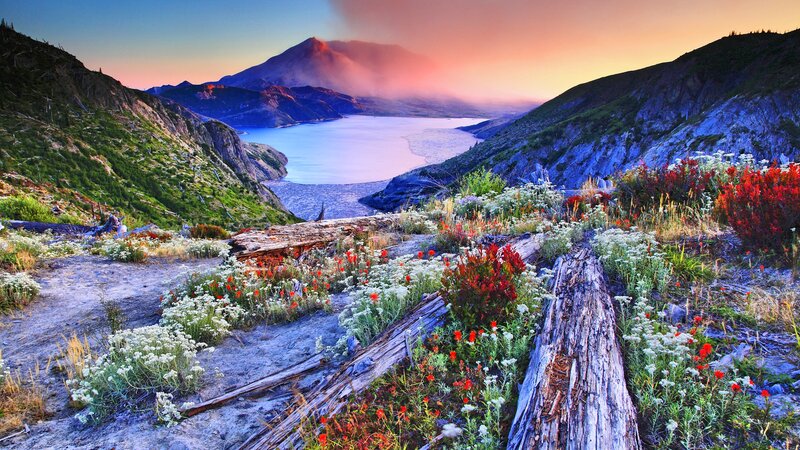 Wildflowers on Mountain Slope — Red, Serene, Sunset