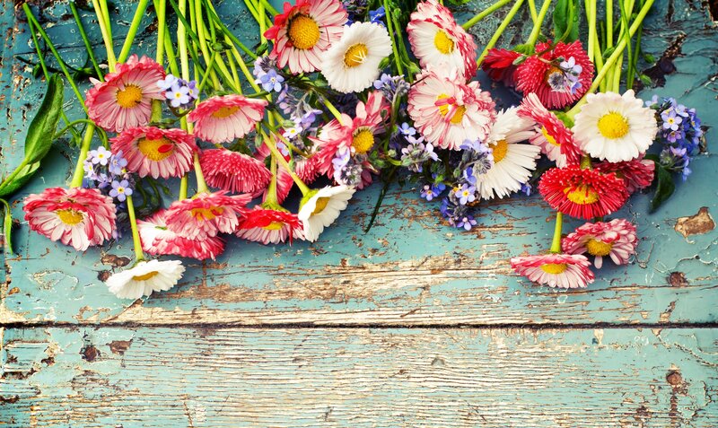 Wildflowers on Wood — Blue