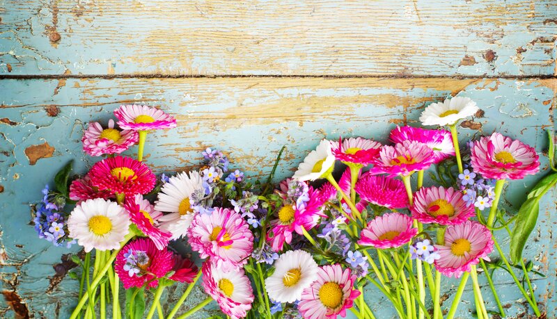 Wildflowers on Wood — Pink
