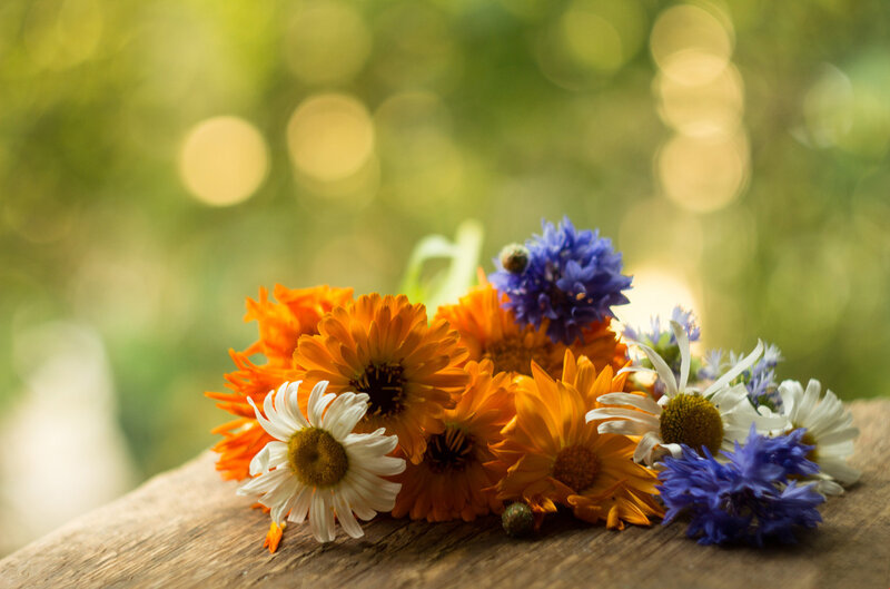 Wildflowers on Wooden Surface