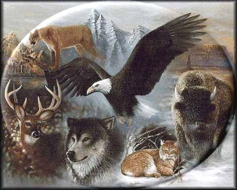 Wildlife collage in winter