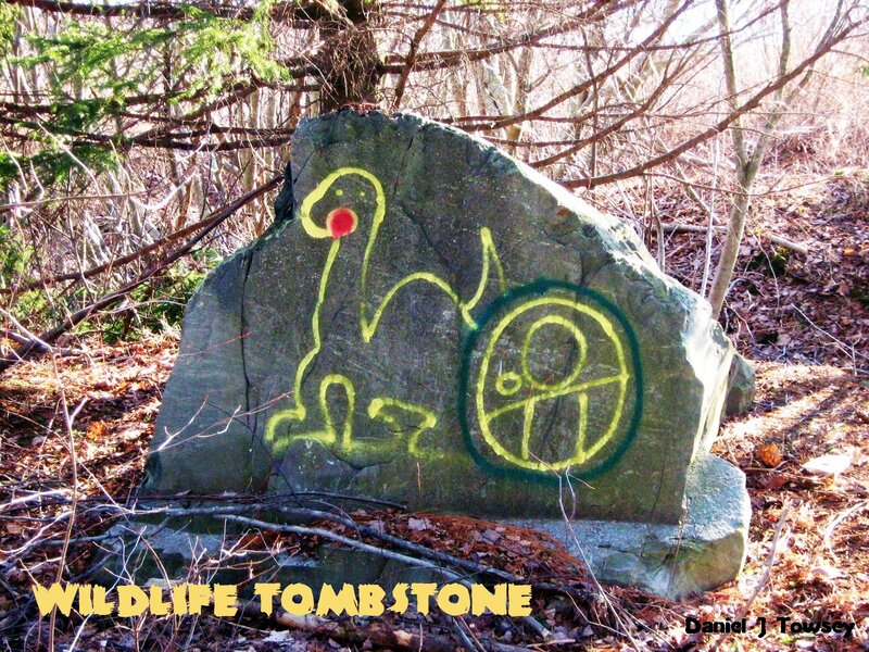 Wildlife Tombstone