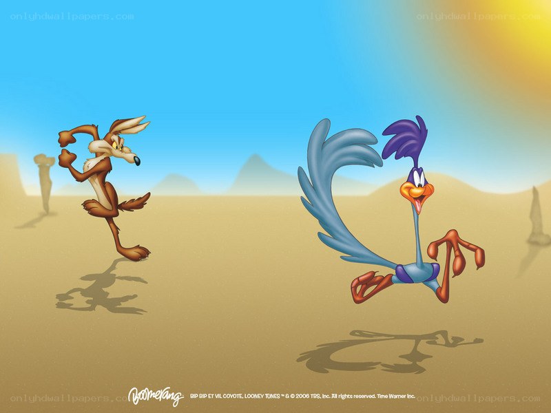 Wile E. Coyote and Road Runner