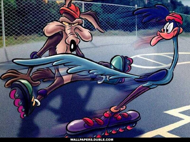 Wile E. Coyote and Road Runner — Blue, Chaotic, Afternoon