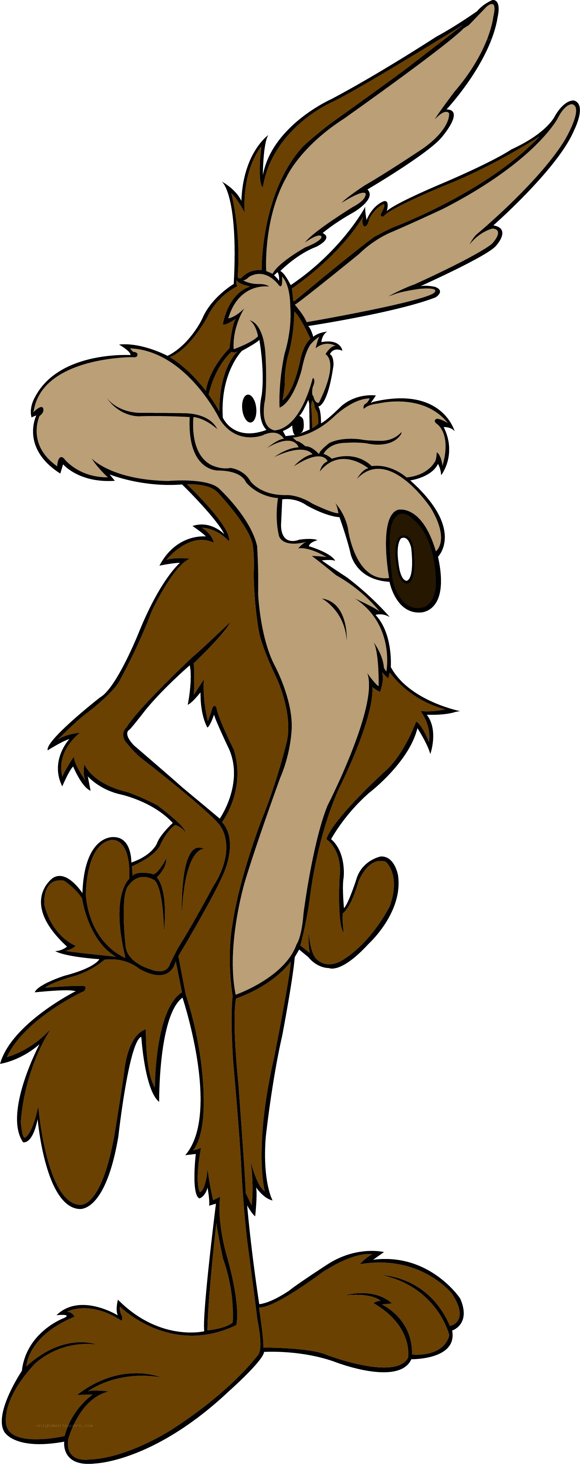 Wile E. Coyote character