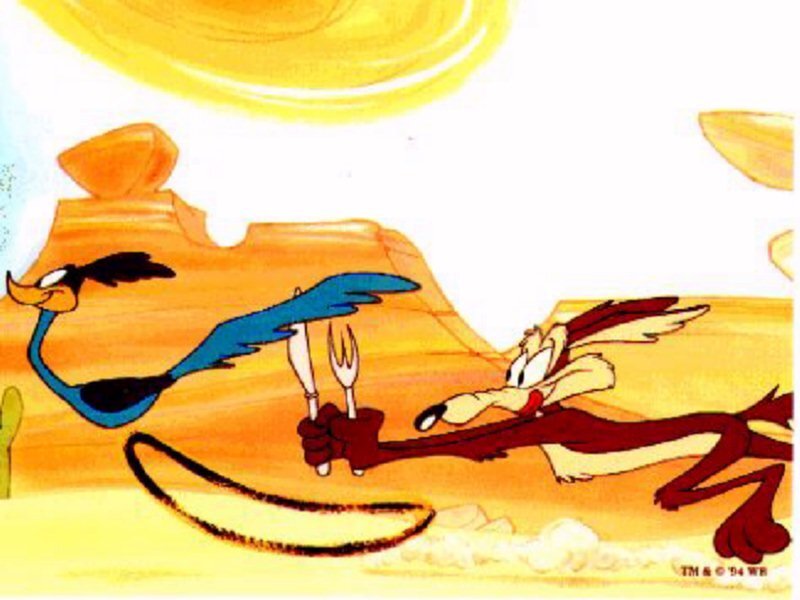 Wile E. Coyote chases Road Runner