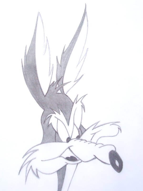Wile E. Coyote drawing