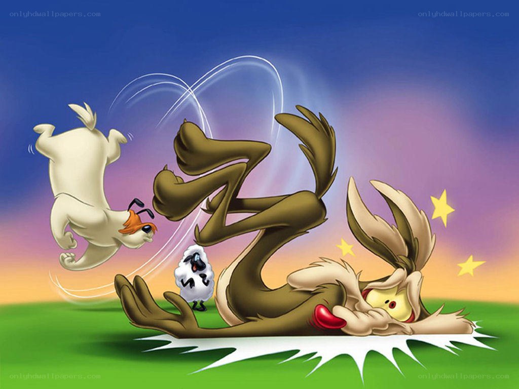 Wile E. Coyote in a chaotic chase