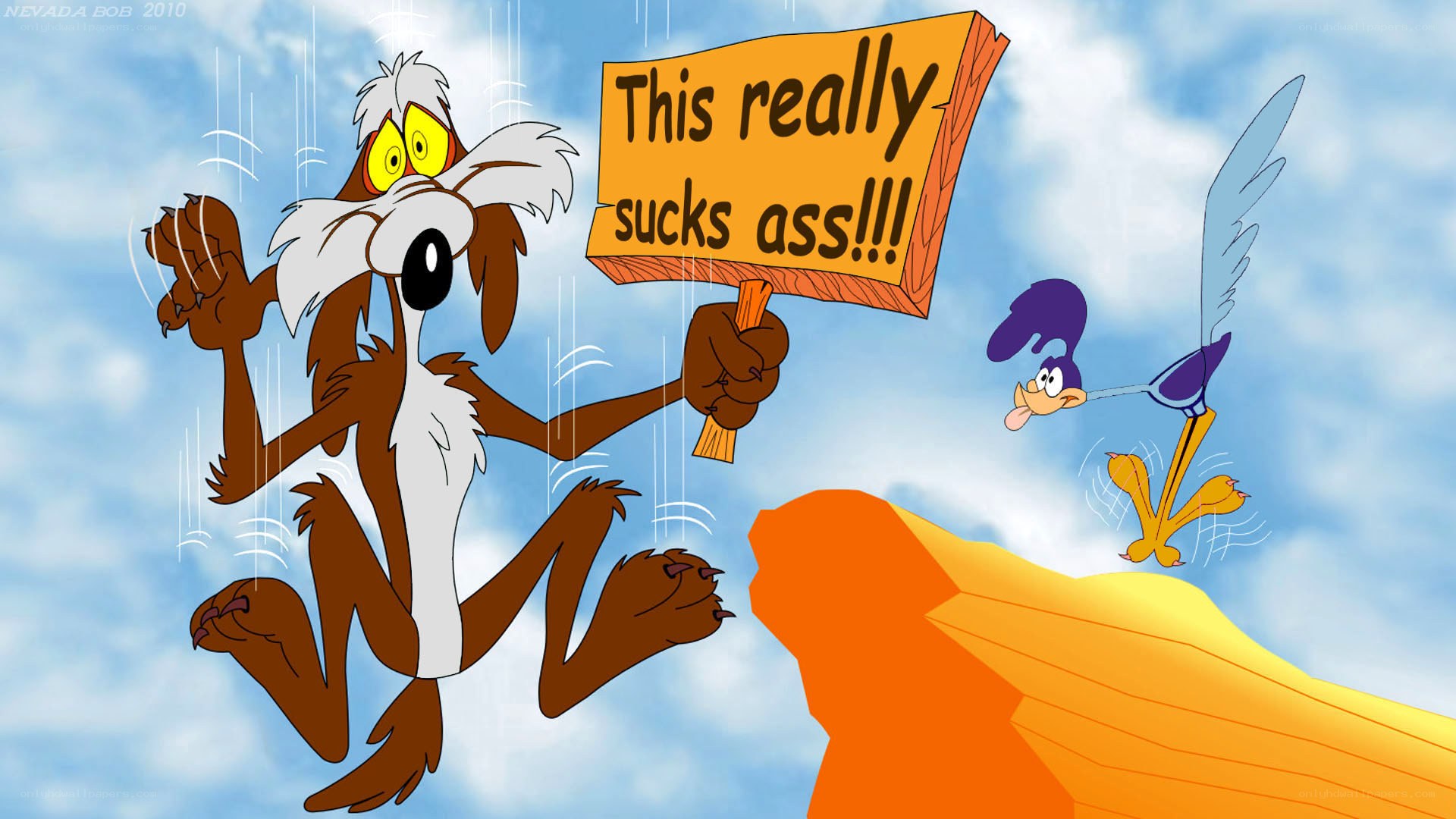 Wile E. Coyote in rain