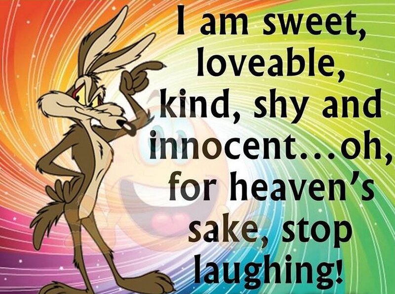 Wile E. Coyote — Orange, Humorous