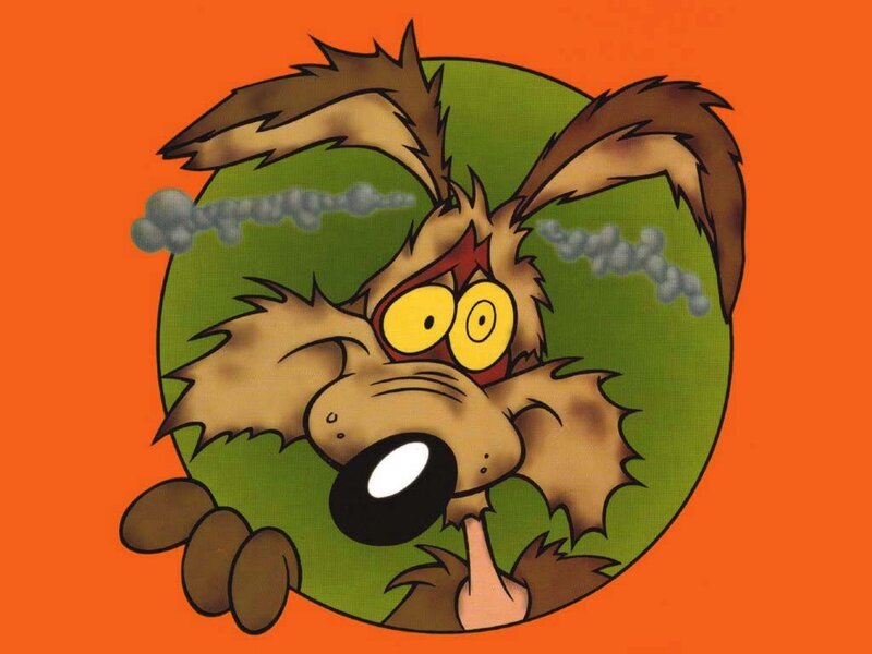 Wile E. Coyote — Orange