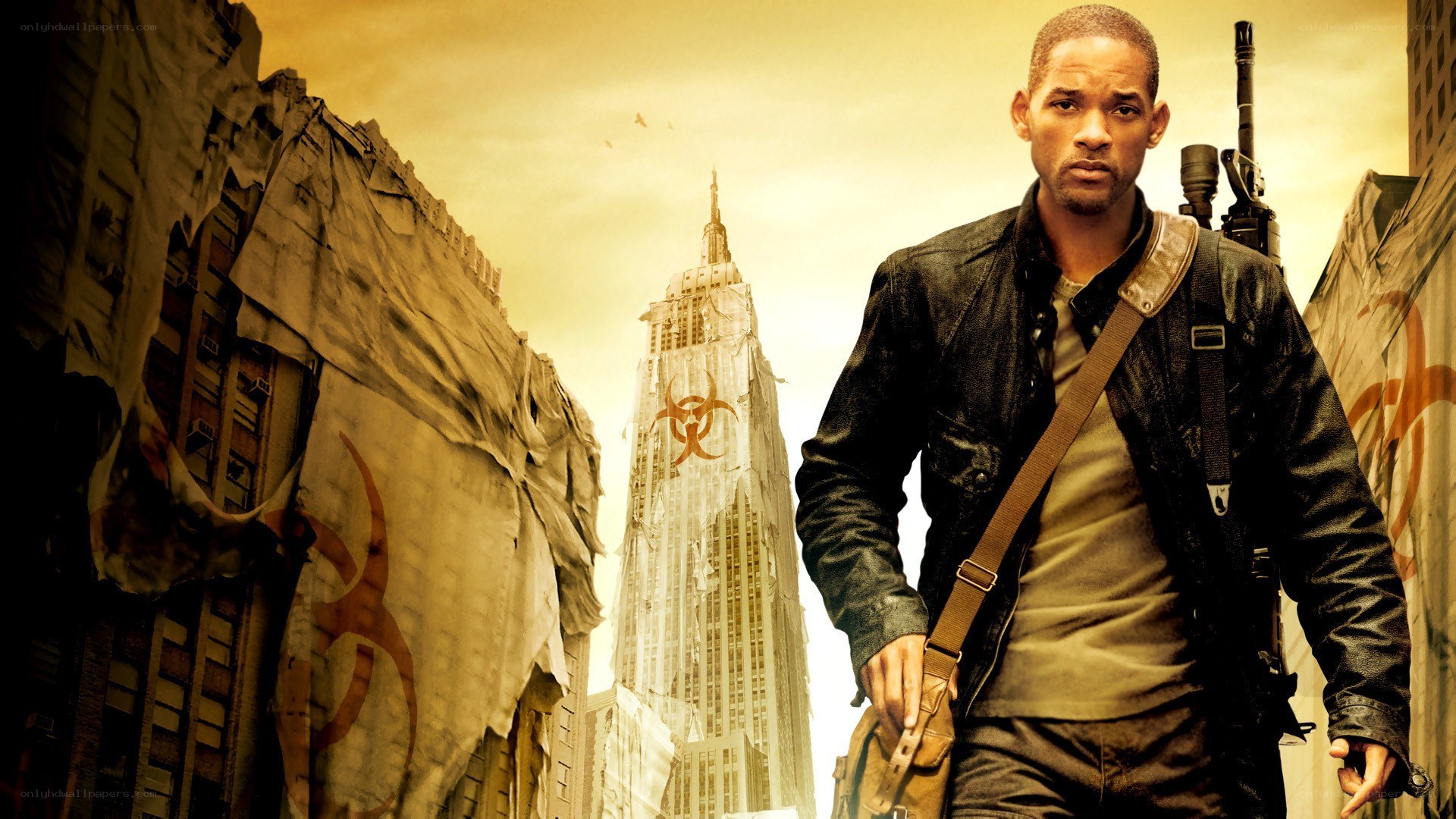 Will Smith in I Am Legend