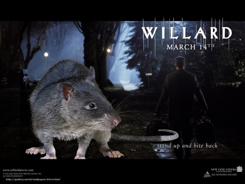Willard movie poster