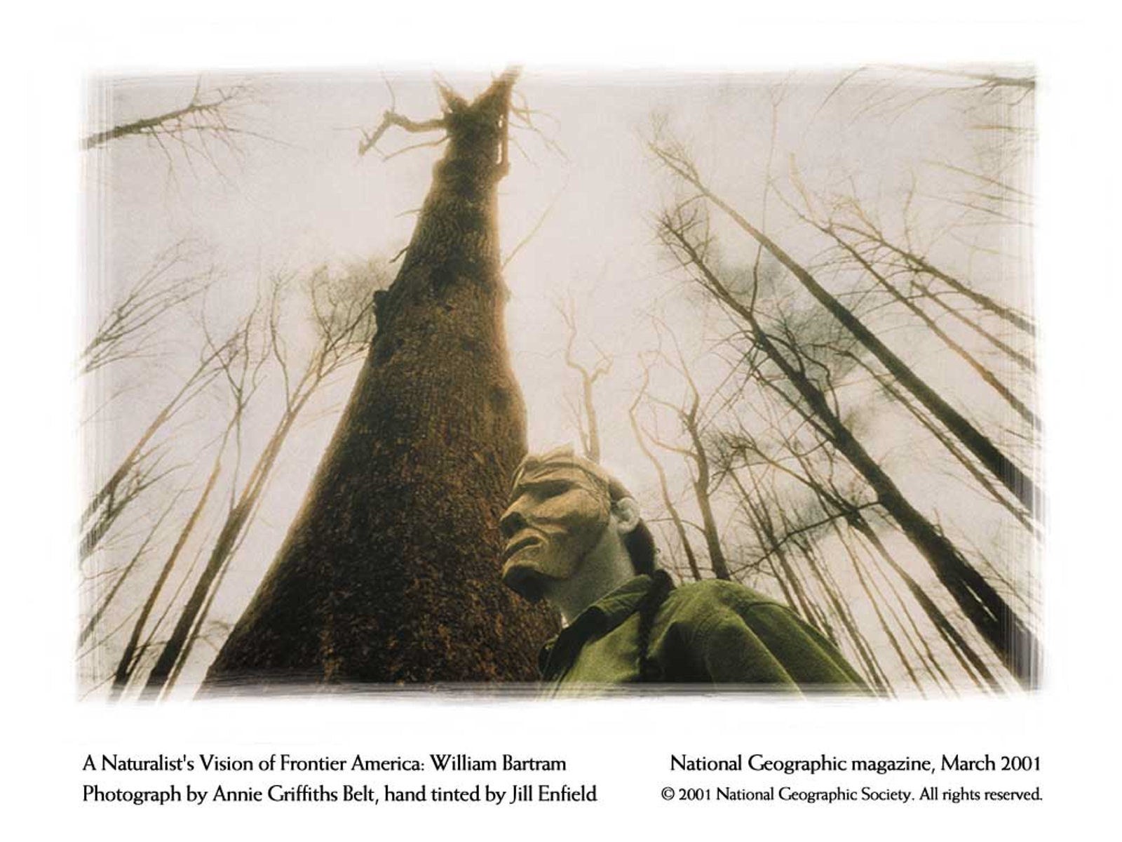 William Bartram in a forest