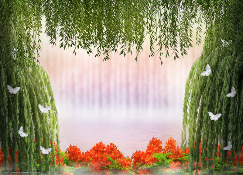 Willow and butterflies by the water