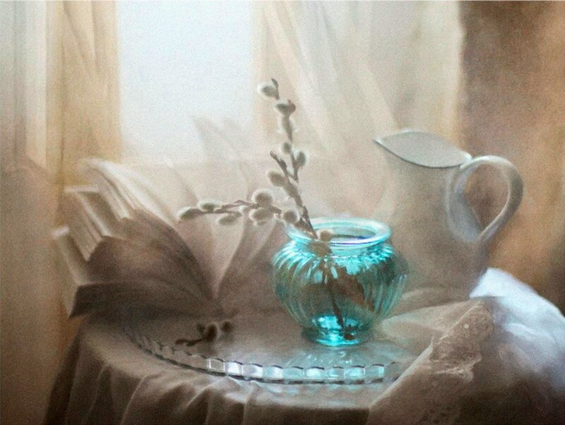 Willow Branch in Vase