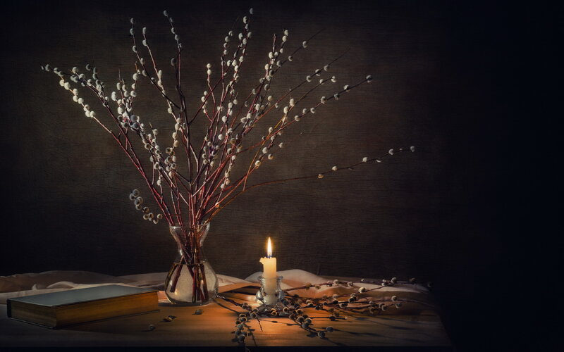 Willow Branches in Vase — Brown