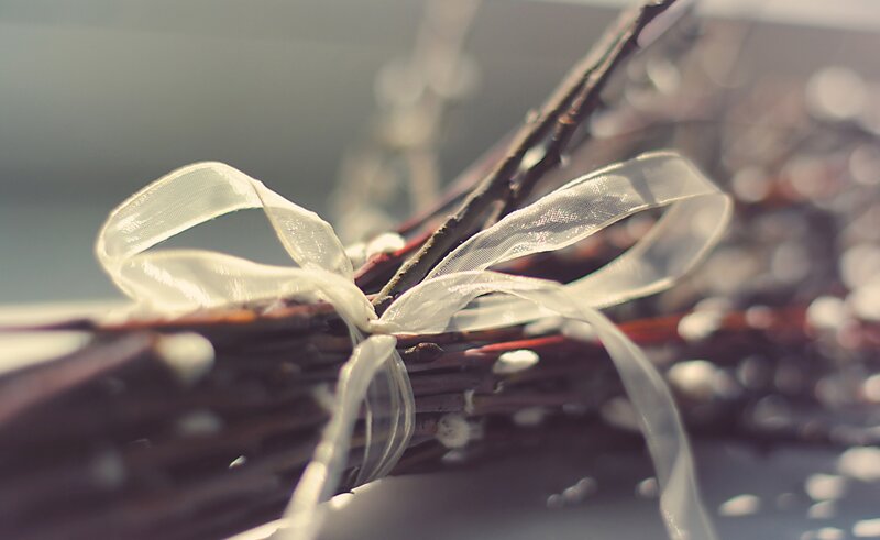 Willow Branches with Ribbon