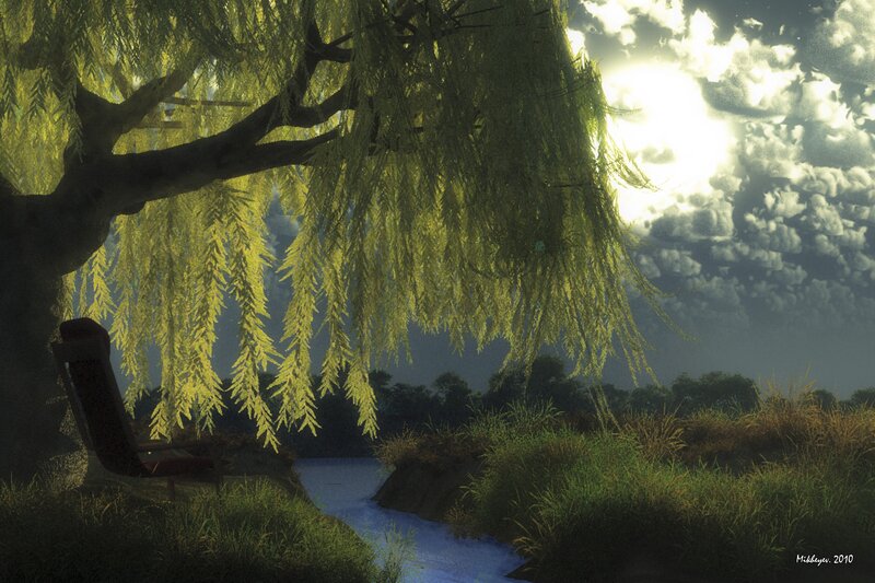 Willow tree by a stream