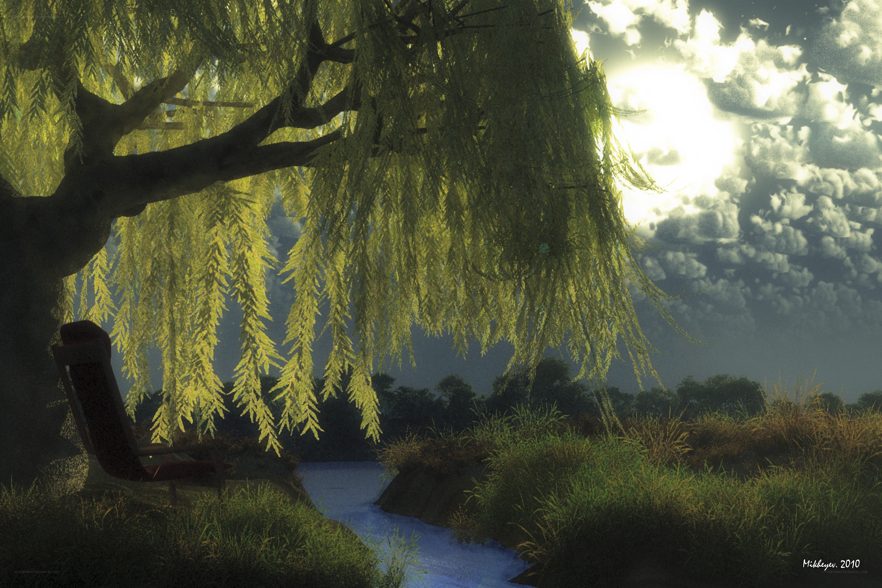 Willow tree by a stream