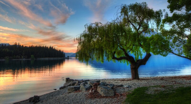 Willow Tree by Lake — Blue, Serene, Sunset